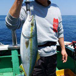 第三むつりょう丸 釣果