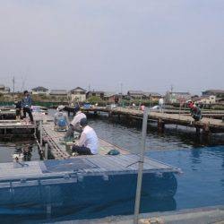 松名瀬フィッシングパーク 釣果