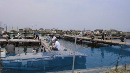 松名瀬フィッシングパーク 釣果