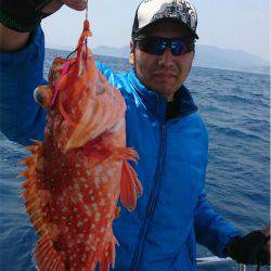 マタウマリンサービス 釣果