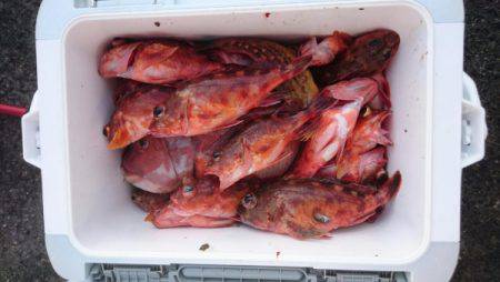 オーフリー 釣果