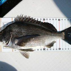 フルコンタクト 釣果