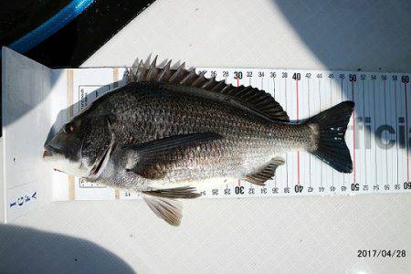 フルコンタクト 釣果