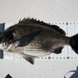 フルコンタクト 釣果