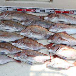 松本釣船２ 釣果