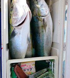 海龍丸(福岡) 釣果