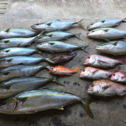 長栄丸(千葉) 釣果