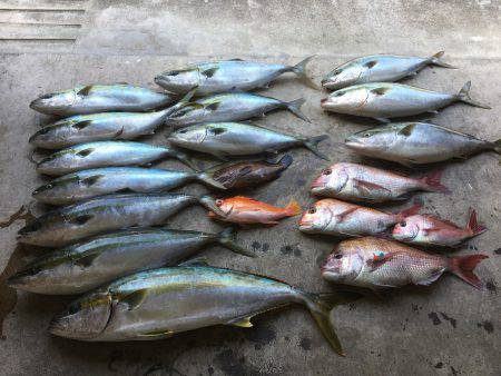 長栄丸(千葉) 釣果