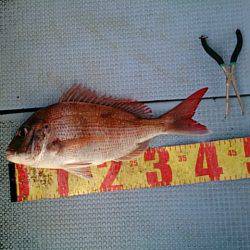 第二常豊丸 釣果