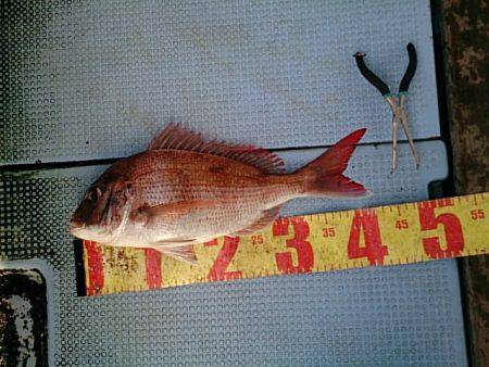 第二常豊丸 釣果