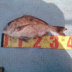 第二常豊丸 釣果