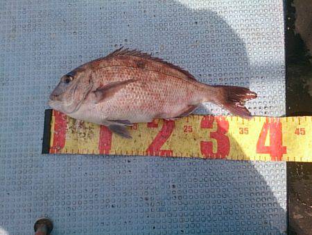 第二常豊丸 釣果