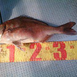 第二常豊丸 釣果