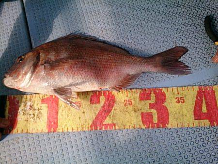 第二常豊丸 釣果