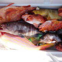 第二一之紀丸（ダイニイチノキマル） 釣果