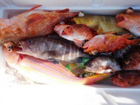 第二一之紀丸（ダイニイチノキマル） 釣果