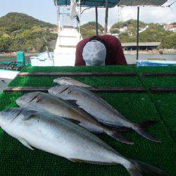 カタタのつり堀 釣果