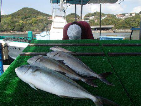 カタタのつり堀 釣果