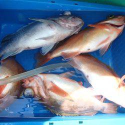 第二むつ漁丸 釣果