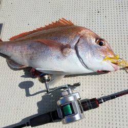 遊漁船 ニライカナイ 釣果
