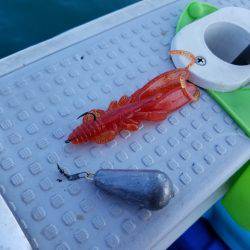 遊漁船 ニライカナイ 釣果