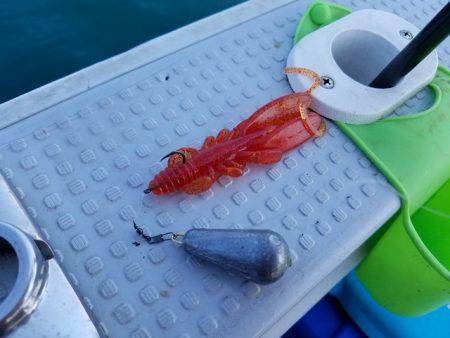 遊漁船 ニライカナイ 釣果