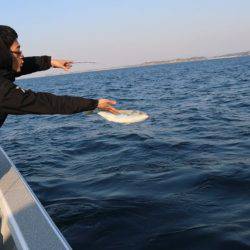 へいみつ丸 釣果