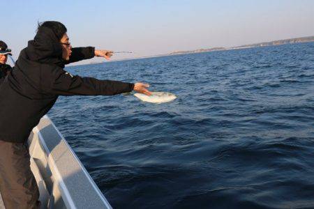 へいみつ丸 釣果