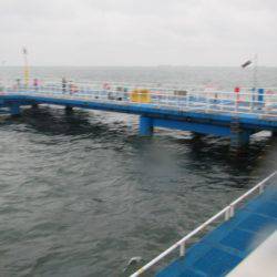 オリジナルメーカー海づり公園(市原市海づり施設) 釣果