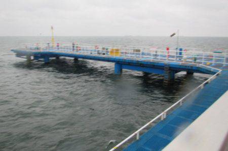 オリジナルメーカー海づり公園(市原市海づり施設) 釣果