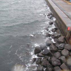 オリジナルメーカー海づり公園(市原市海づり施設) 釣果