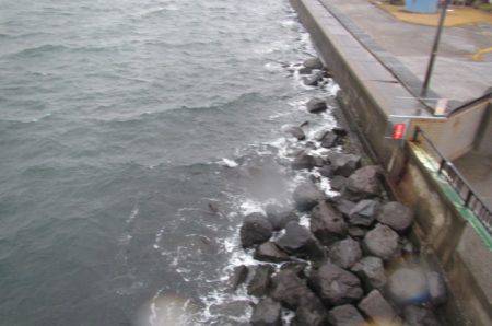 オリジナルメーカー海づり公園(市原市海づり施設) 釣果