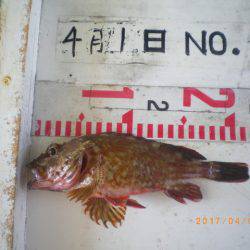 姫路市立遊魚センター 釣果