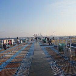 オリジナルメーカー海づり公園(市原市海づり施設) 釣果