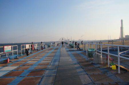 オリジナルメーカー海づり公園(市原市海づり施設) 釣果