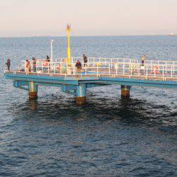 オリジナルメーカー海づり公園(市原市海づり施設) 釣果