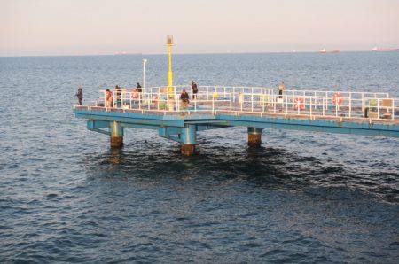 オリジナルメーカー海づり公園(市原市海づり施設) 釣果