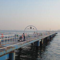 オリジナルメーカー海づり公園(市原市海づり施設) 釣果