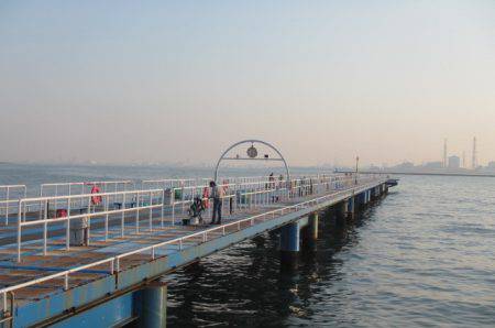 オリジナルメーカー海づり公園(市原市海づり施設) 釣果