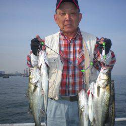 オリジナルメーカー海づり公園(市原市海づり施設) 釣果
