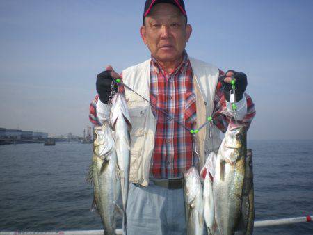 オリジナルメーカー海づり公園(市原市海づり施設) 釣果