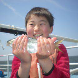 オリジナルメーカー海づり公園(市原市海づり施設) 釣果