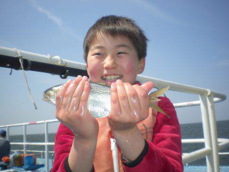 オリジナルメーカー海づり公園(市原市海づり施設) 釣果