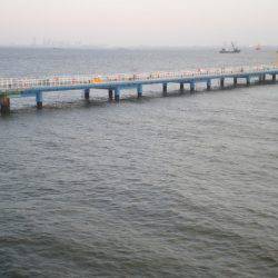 オリジナルメーカー海づり公園(市原市海づり施設) 釣果