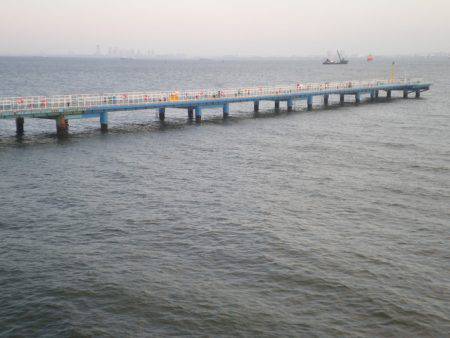 オリジナルメーカー海づり公園(市原市海づり施設) 釣果