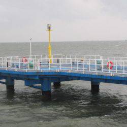 オリジナルメーカー海づり公園(市原市海づり施設) 釣果