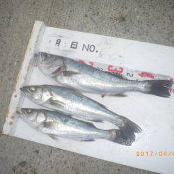 姫路市立遊魚センター 釣果