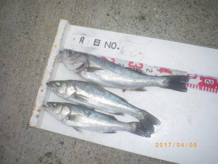 姫路市立遊魚センター 釣果
