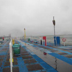 オリジナルメーカー海づり公園(市原市海づり施設) 釣果