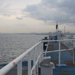 オリジナルメーカー海づり公園(市原市海づり施設) 釣果